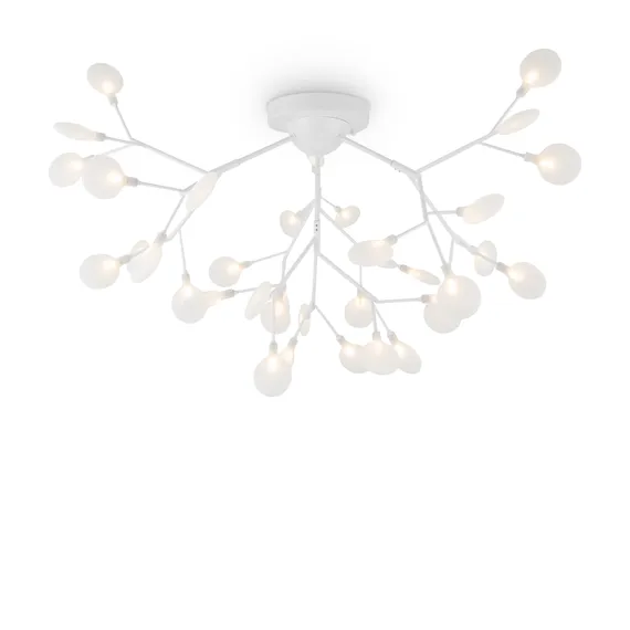 Потолочный светильник Флоренсия / Florencia Freya fr5049cl-36w1