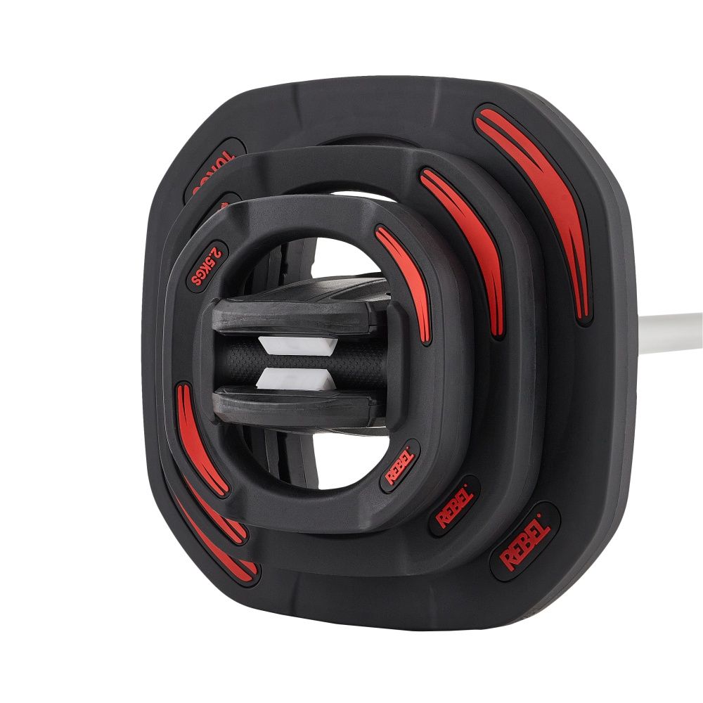 Диски 10 кг для памп-штанги для аэробики REBEL R-SMRTP (пара)