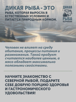 Подарочный набор "Трофей рыбака" ТАЁЖНЫЙ ЦЕХ