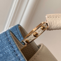 Louis Vuitton Capucines Mini