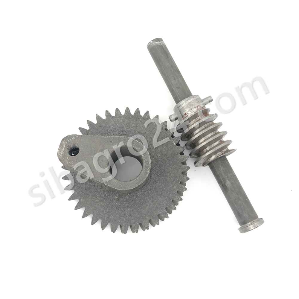 Червячная пара в механизм подъема дежи миксера B-10 Foodatlas Eco