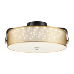 Потолочный светодиодный светильник Lumion DRUMY 6597/40L