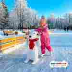 Опора для катания на коньках «Снежный приятель», 0,52×0,35×0,80 м