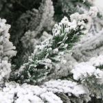 Ёлка светодиодная «Лесное сияние» 180 см (952 ветки 400 ламп LED), резина