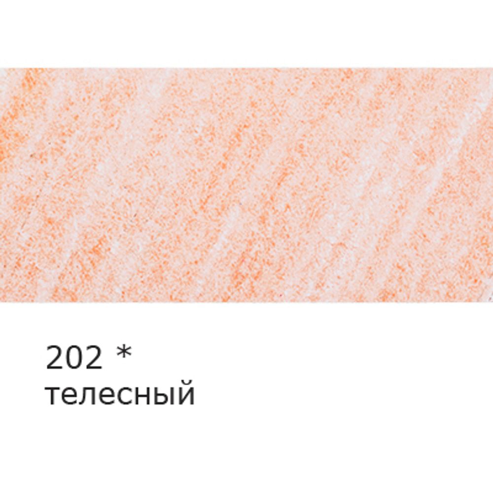 Карандаш цветной заточенный, 6 шт, 202 телесный, Vista-Artista INTENSE VICP