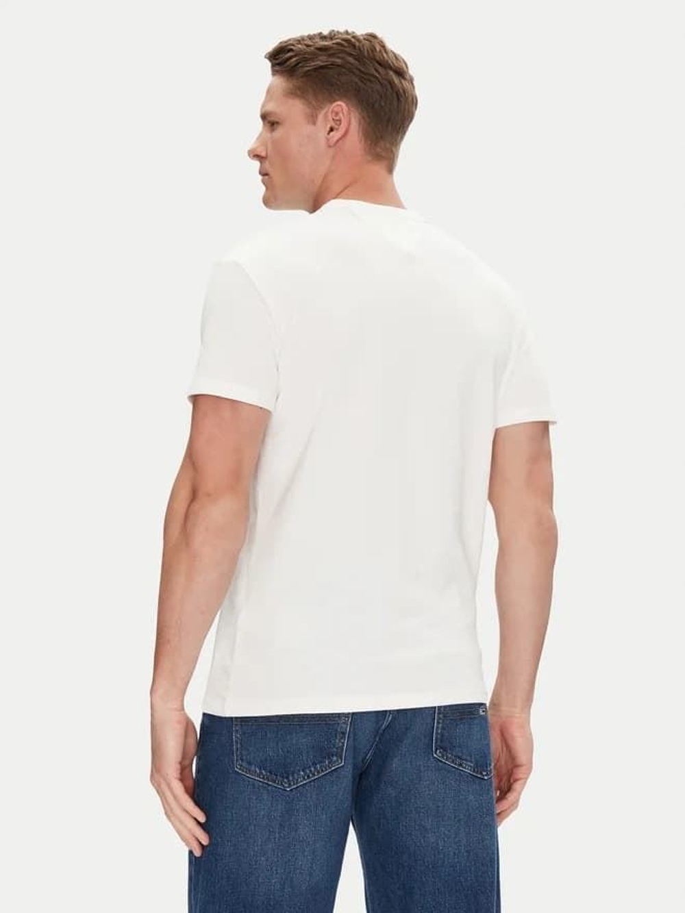 Футболка мужская TOMMY JEANS TJM REG BADGE TEE EX