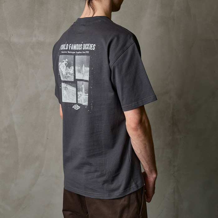 Футболка мужская Dickies Wolfhurst Short Sleeve Tee 