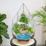 Готовый флорариум бонсай Лигуструм Фаберже с озером