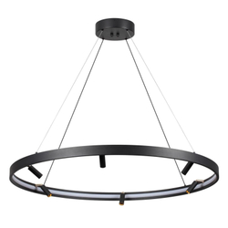 Подвесная люстра Odeon Light 4317/93L