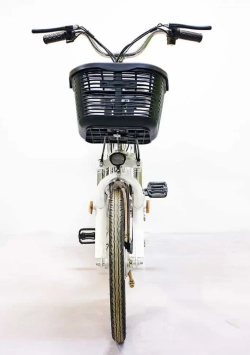 Электровелосипед Green Camel Транк-2 (R20 350W 48V 10Ah) Алюм 2-х подвес
