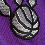 Баскетбольные шорты Mitchell&Ness NBA Authentic 2000/01 Toronto Raptors White/Purple Shorts
