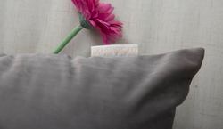 Наволочка 45х45 Sofi De MarkO Манон шоколадная