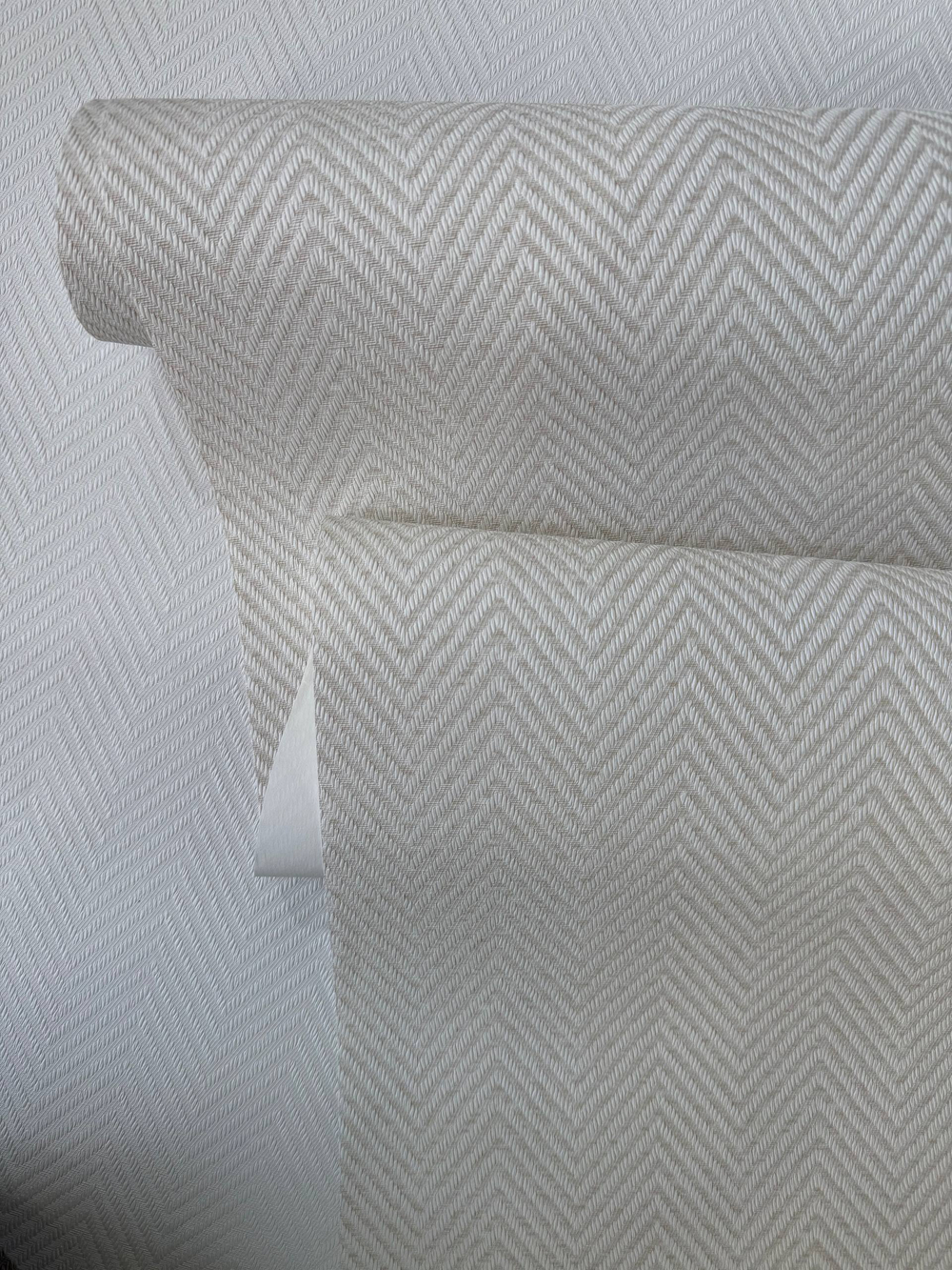 GaENARI 81404-1 REGALIA