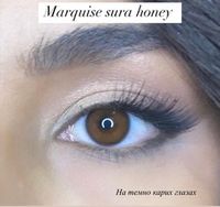 Медовые линзы с окантовкой на 12 месяцев Marquise sura Honey  / Линзы в стиле Acuvue define