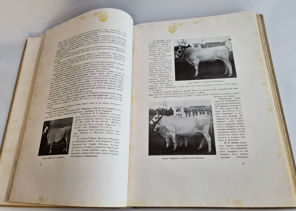 "Альбом Южно-Русской Областной сельскохозяйственной промышленной и кустарной Выставки в г. Екатеринославле 1910 года". Б.Н.Клебанов. 1910г. - редкая книга
