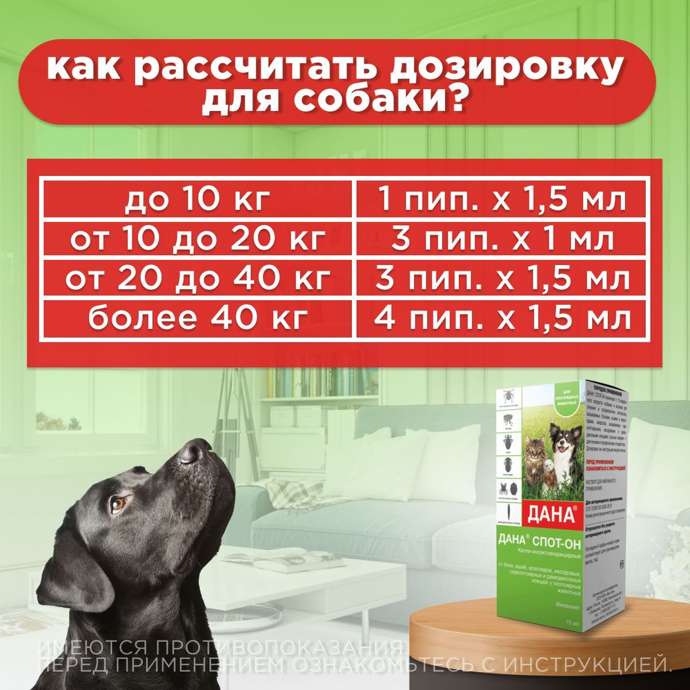 Капли для плотоядных животных от блох, клещей, вшей и власоедов для плотоядных животных Дана Спот-Он (Apicenna), 15мл Фипронил