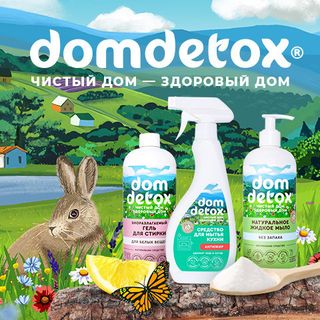 DOMDETOX средства для дома