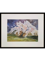 Картина авторская акварельная в паспарту 30х40 см на стену для интерьера "Цветущая сакура"