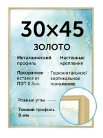 Металлическая рамка 30х45 см