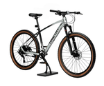 Велосипед 29" TIMETRY TT422 10ск. серебро