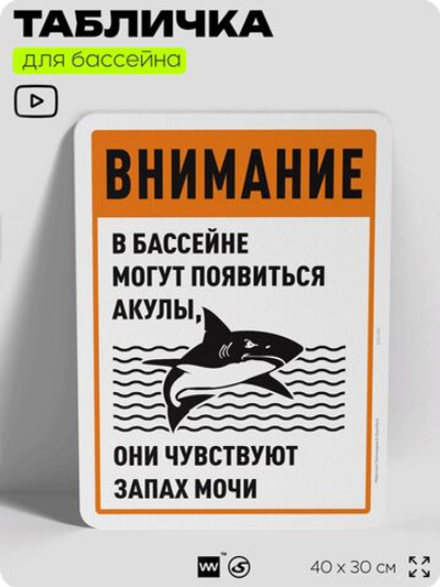 Табличка прикольная для бассейна "Внимание, в бассейне могут появиться акулы", на пляж, для общественной и частной зоны отдыха, информационная, 40х30 см, Silver Plane x Айдентика Технолоджи
