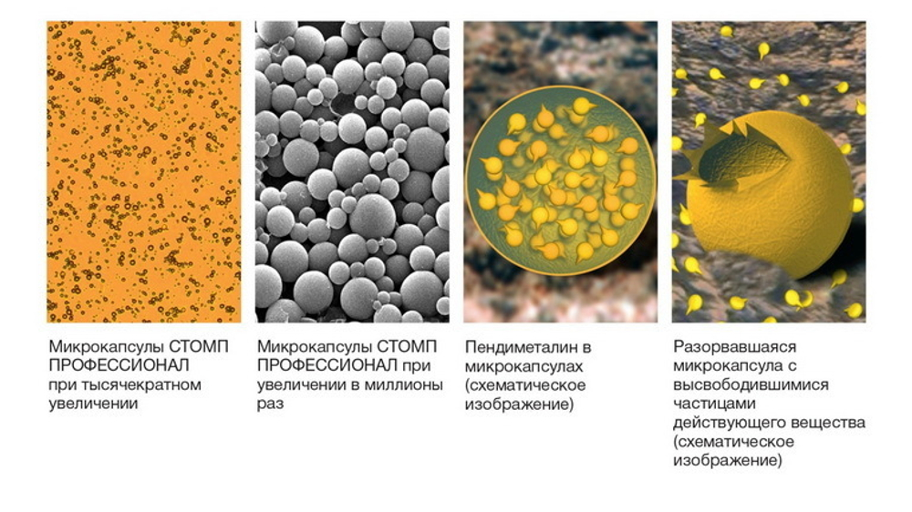 ГЕРБИЦИД Стомп Профессионал МКС (455 г/л)