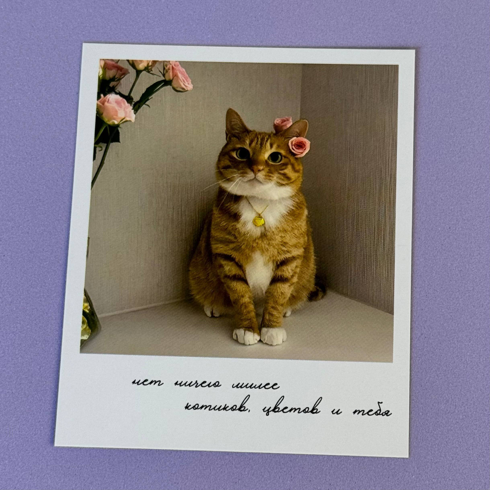 Открытка с комплиментом