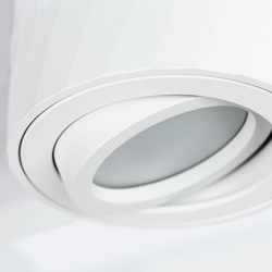 Накладной светильник Arte Lamp A5559PL-1WH
