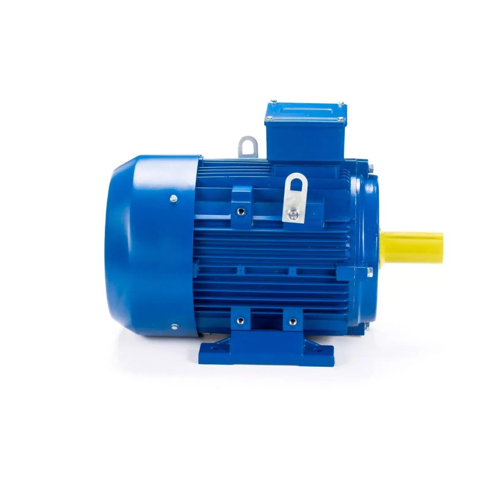 Электродвигатель ESQ 315 LB6-SDN- 132/1000 IMB3