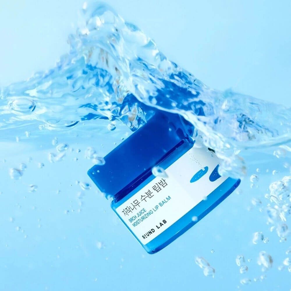 ROUND LAB Увлажняющий бальзам для губ с берёзовым соком с кистью Birch Juice Moisturizing Lip Balm Set (20 гр)