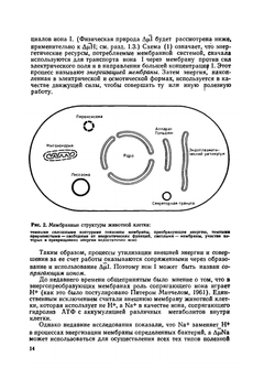 Мембранные преобразователи энергии. Биохимия мембран | В.П. Скулачев