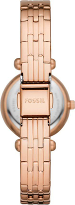 Наручные часы Fossil BQ3697