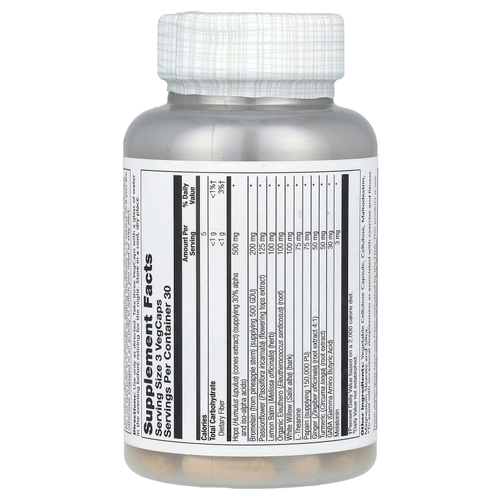 Solaray, IbuActin PM, повышенной силы действия, 90 растительных капсул