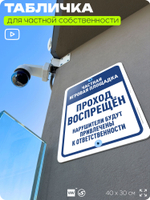 Табличка для частной территории "Частная игровая площадка, проход воспрещен", на дом, для участка, организаций, предупреждающая, 40х30 см, Silver Plane x Айдентика Технолоджи