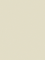 БАХИЛЫ СПЕЦИАЛЬНЫЕ ЗАЩИТНЫЕ BASK OVERBOOTS ARMOR PRO