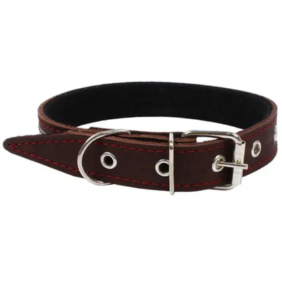 Ошейник кож. №30 на брезенте укр 1/2 (55 см) rich breed