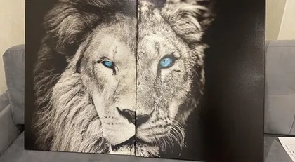 Эльвира Саакян