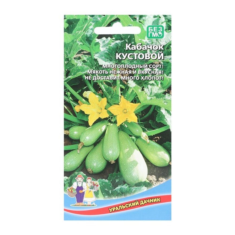 Кабачок Кустовой, 10 шт