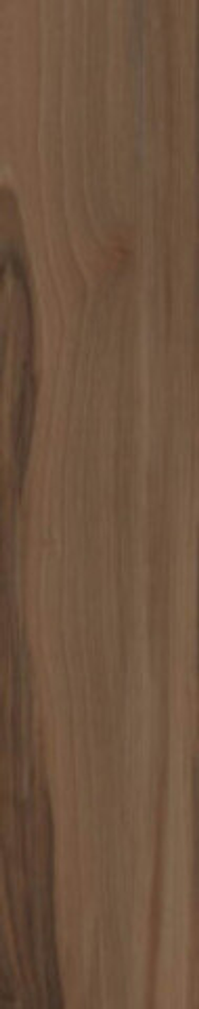 Керамогранит SAVANNA COFFEE RET (60950)