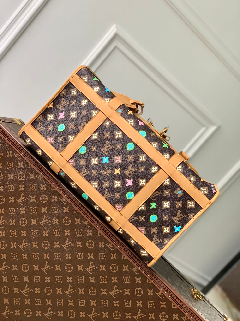 Louis Vuitton Dog Bag