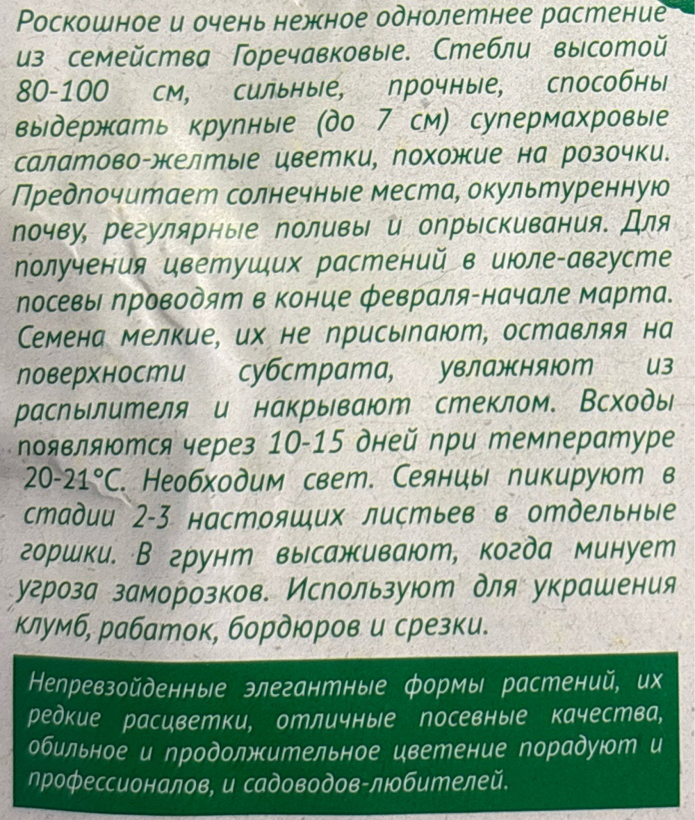 Эустома Мариачи лайм махр. 4 шт СМЦ-341