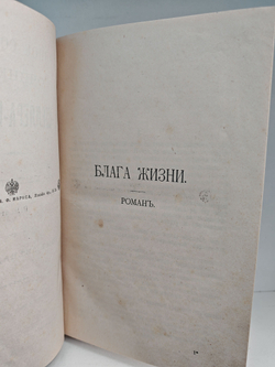 Полное собрание сочинений А. К. Шеллера-Михайлова. Том 12. Блага жизни. Господин пророк