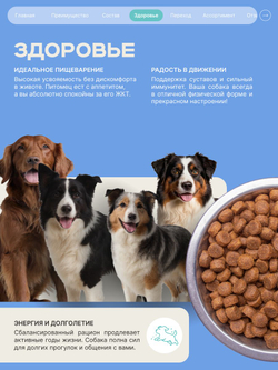 Корм для взрослых собак породы Золотистый ретривер, с кроликом, 3 кг, QUATTRO