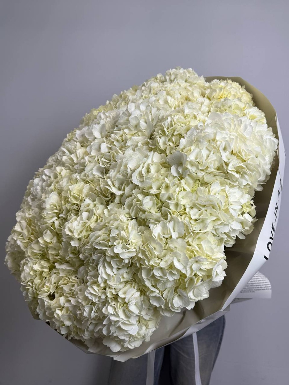 Снежная королева