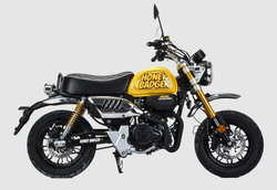 Питбайк Motoland Monkey 150