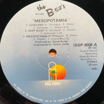 The B-52's ‎– Mesopotamia (Скандинавия 1982г.)