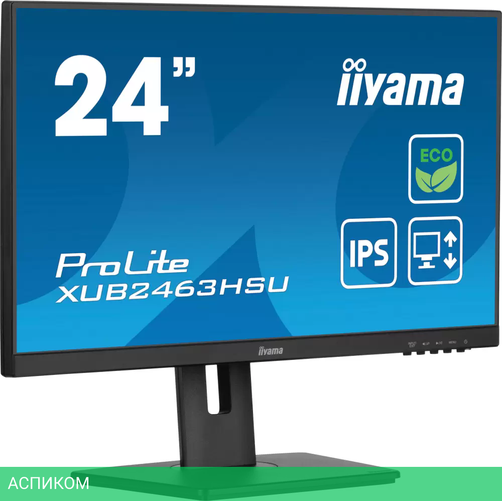Монитор Iiyama ProLite XUB2463HSU-B1