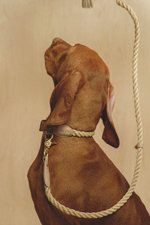 Поводок "Кантри-Пони" Бежевый