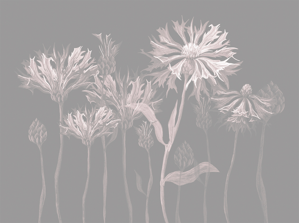 Коллекция SUMMERTIME