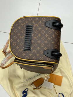 Дорожная сумка Louis Vuitton Neo Eole